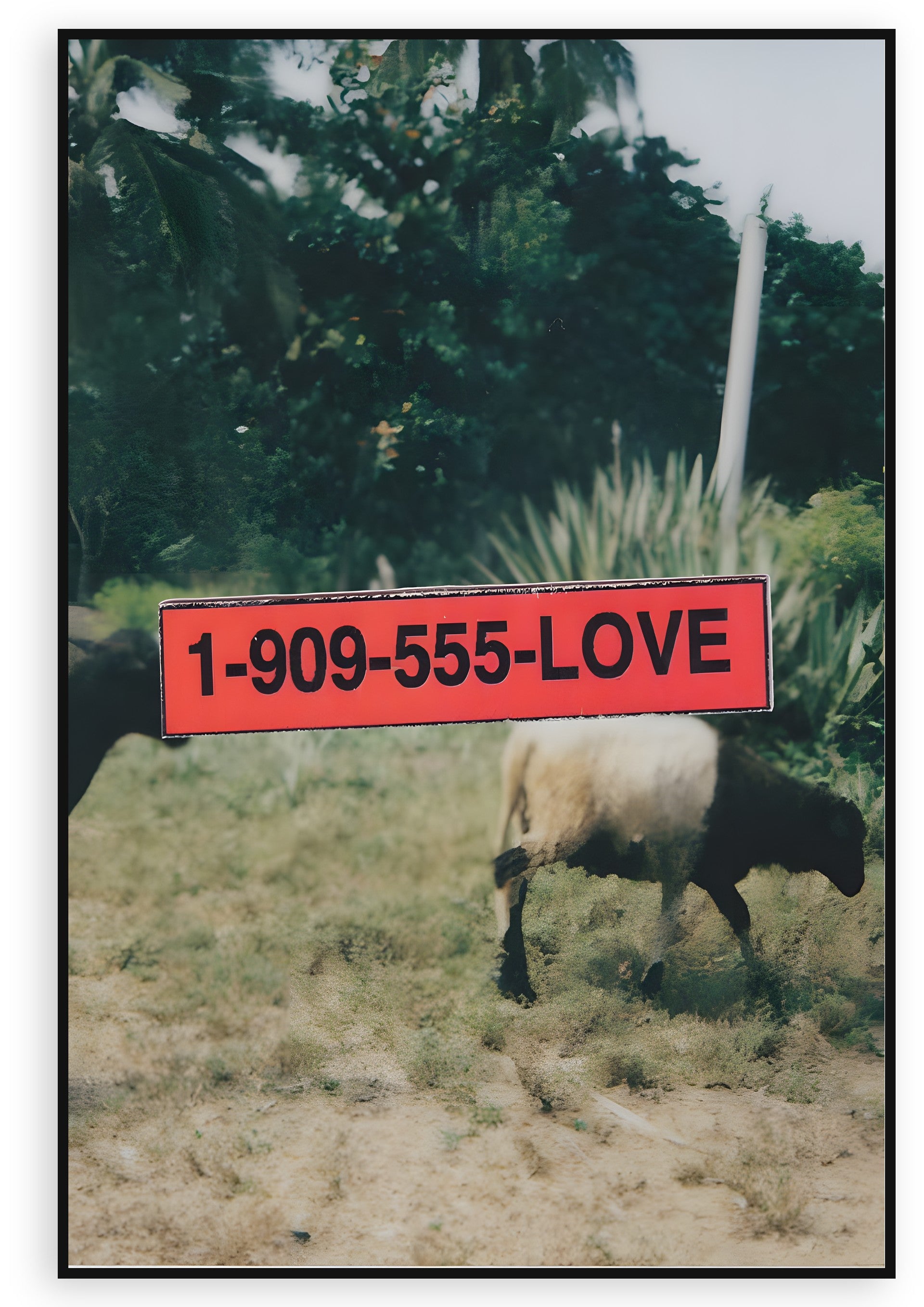 LOVE